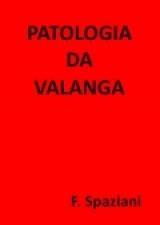cover Patologia da valanga