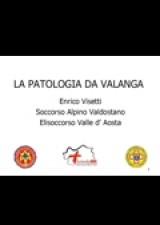 cover La patologia da valanga