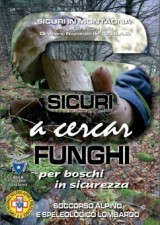 cover Sicuri a cercar funghi